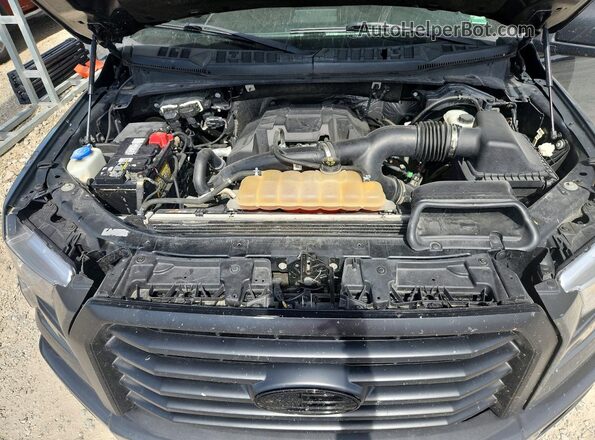 1FTEW1EP3GFC98874 2016 FORD F150 Gray Widok wnętrza z tyłu
