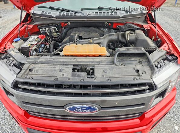 1FTEW1EP3JFA92977 2018 FORD F150 Красный Вид задней части салона