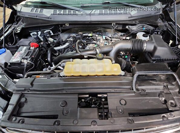 1FTEW1EP3LFC48146 2020 FORD F150 Black Вид задньої частини салону