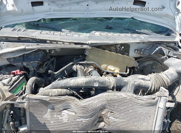1FTEW1EP3LKD00138 2020 FORD F150 White Widok z tyłu