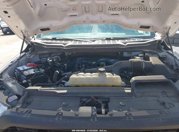 1FTEW1EP3MFB38389 2021 FORD F150 White Հետևի տեսք