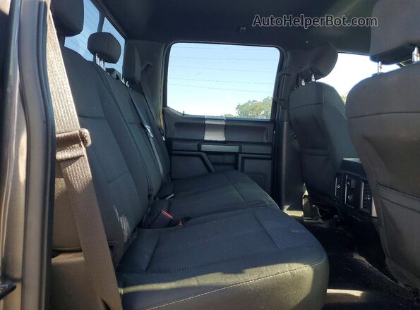 1FTEW1EP4GFB43654 2016 FORD F150 Gray Вид задніх сидінь