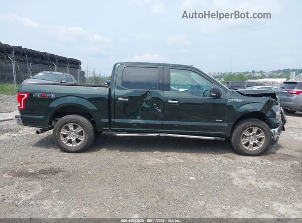 1FTEW1EP4GFB74242 2016 FORD F150 Зеленый Вид задней части салона