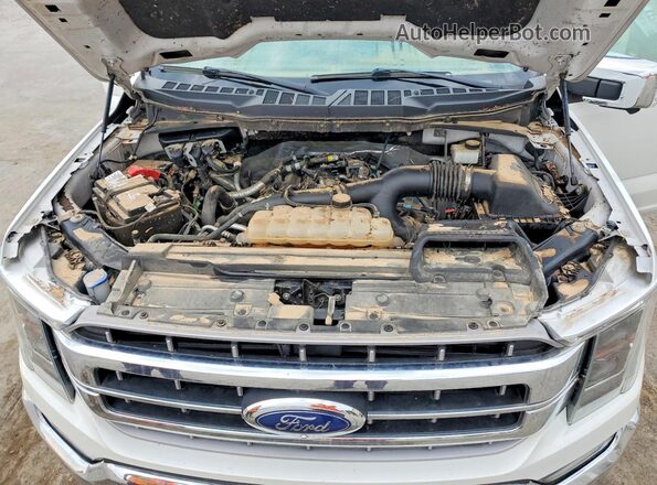 1FTEW1EP4MFC61411 2021 FORD F150 White Вид задньої частини салону