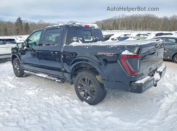 1FTEW1EP4MFD06380 2021 FORD F150 Black უკანა მარცხენა