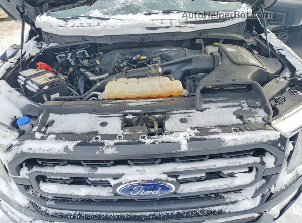 1FTEW1EP4MFD06380 2021 FORD F150 Black უკანა სალონის ხედი