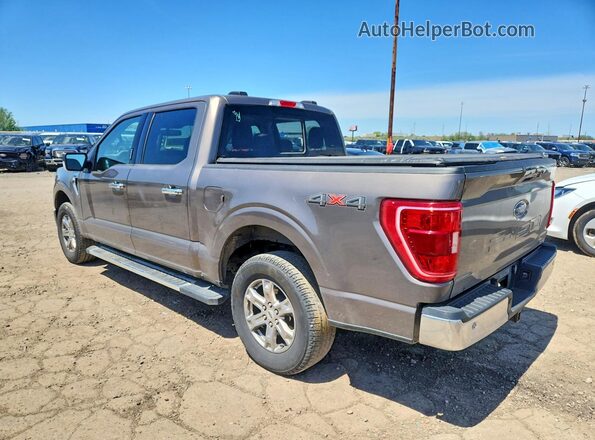 1FTEW1EP4PFD30103 2023 FORD F150 Tan უკანა მარცხენა