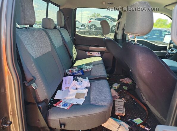 1FTEW1EP4PFD30103 2023 FORD F150 Tan უკანა სავარძლების ხედი