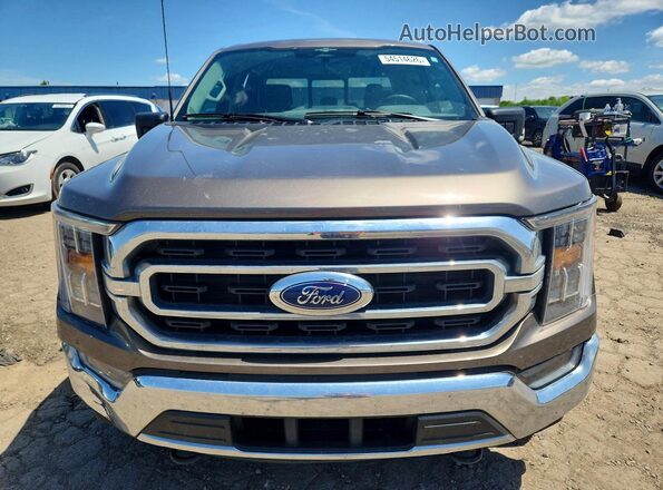 1FTEW1EP4PFD30103 2023 FORD F150 Tan წინა ხედი