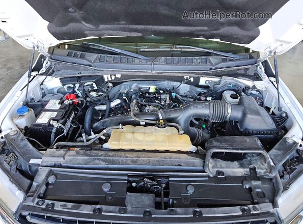 1FTEW1EP5KKF26700 2019 FORD F150 White Engine compartment view