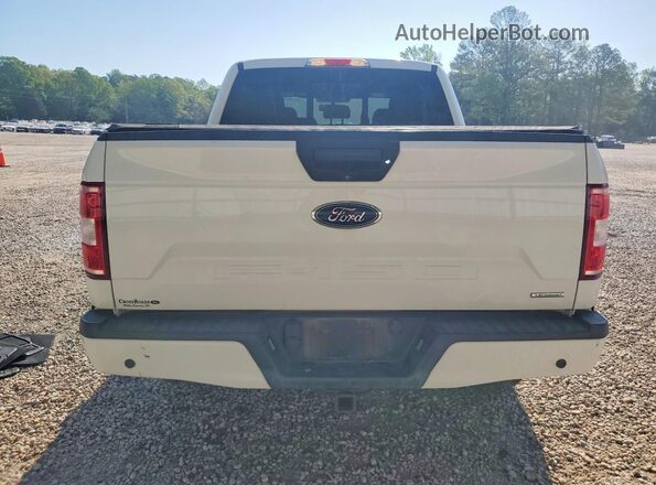1FTEW1EP5LFA06037 2020 FORD F150 Белый Вид сзади
