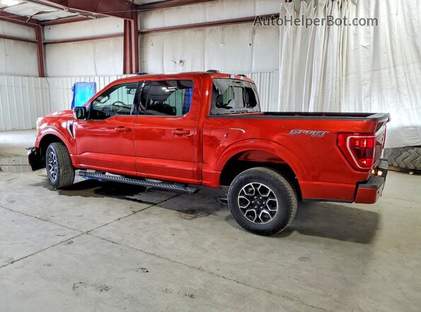 1FTEW1EP5PKE80552 2023 FORD F150 Red უკანა მარცხენა