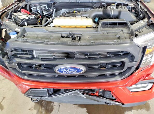 1FTEW1EP5PKE80552 2023 FORD F150 Red უკანა სალონის ხედი