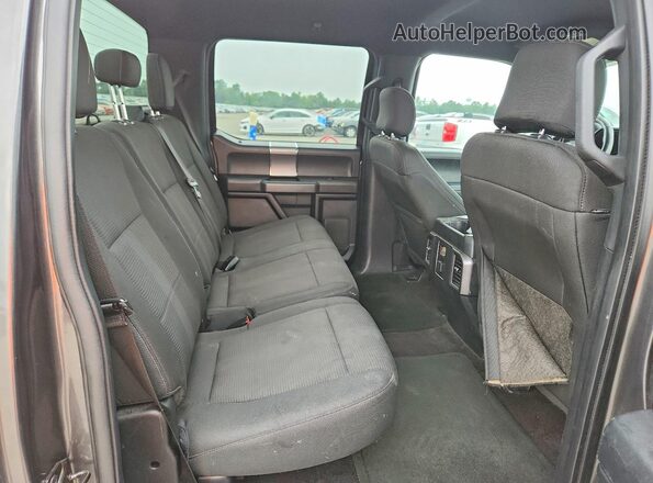 1FTEW1EP6GFB65445 2016 FORD F150 Gray უკანა სავარძლების ხედი