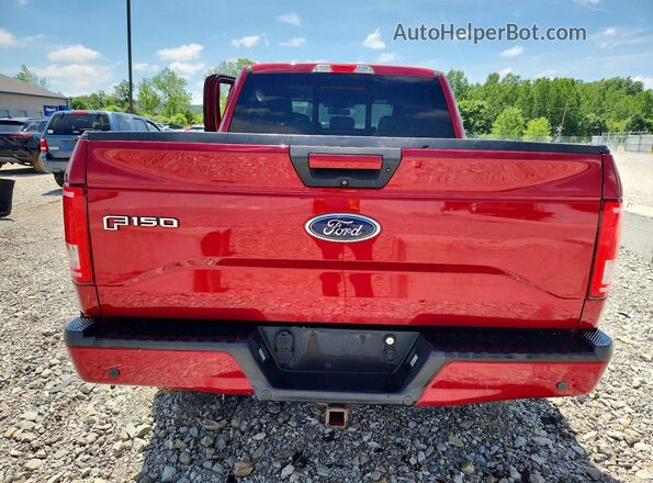 1FTEW1EP6GFD52782 2016 FORD F150 Red Հետևի տեսք