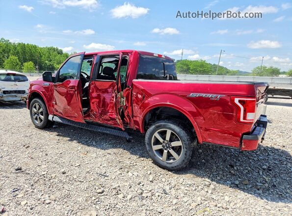 1FTEW1EP6GFD52782 2016 FORD F150 Red Հետևի ձախ