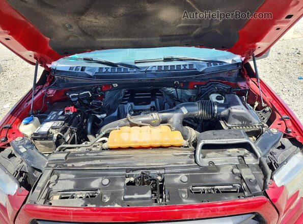 1FTEW1EP6GFD52782 2016 FORD F150 Red Սալոնի հետևի տեսք