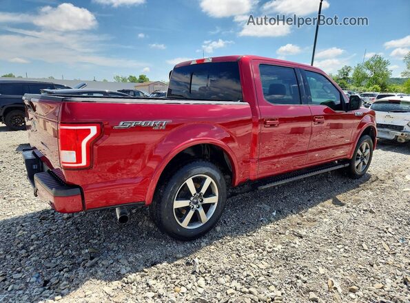 1FTEW1EP6GFD52782 2016 FORD F150 Red Հետևի աջ
