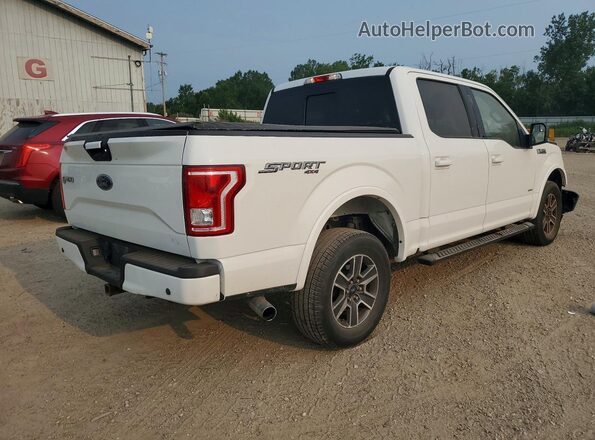 1FTEW1EP6HFC12846 2017 FORD F150 White უკანა მარჯვენა
