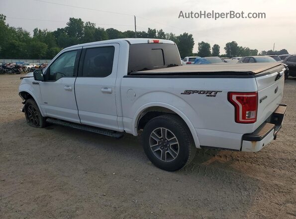 1FTEW1EP6HFC12846 2017 FORD F150 White უკანა მარცხენა
