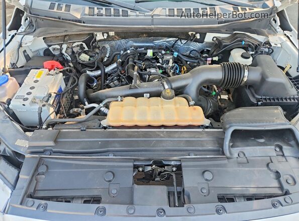 1FTEW1EP6KKC10416 2019 FORD F150 White 
