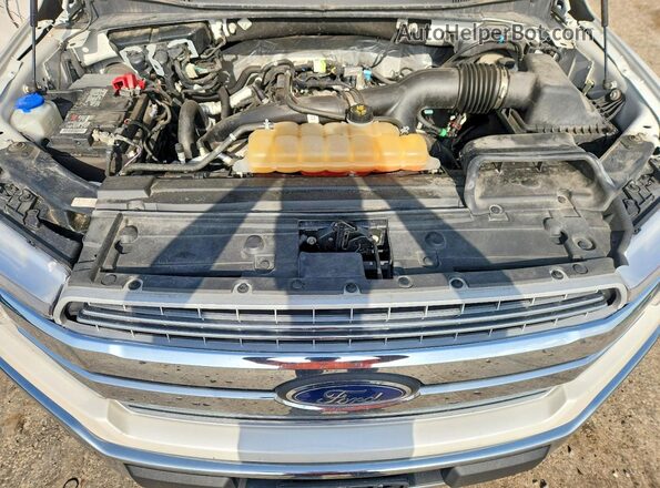 1FTEW1EP6KKC46770 2019 FORD F150 White უკანა სალონის ხედი