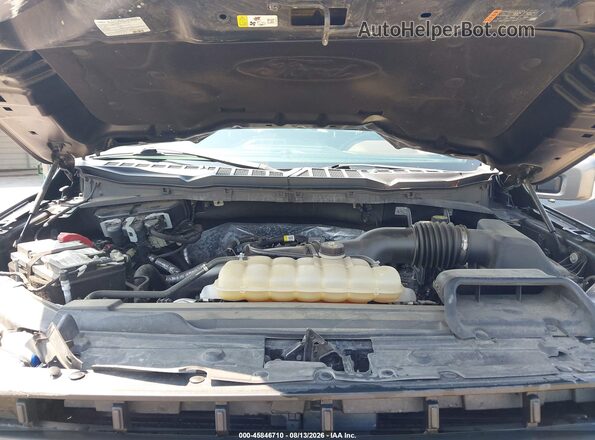 1FTEW1EP6MFD02430 2021 FORD F150 Gray უკანა ხედი