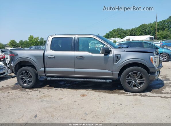 1FTEW1EP6MFD02430 2021 FORD F150 Gray უკანა სალონის ხედი