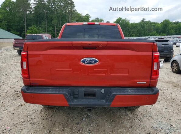 1FTEW1EP6PKE57636 2023 FORD F150 Оранжевый Вид сзади
