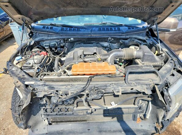 1FTEW1EP7GKE55491 2016 FORD F150 Коричневый Вид задней части салона