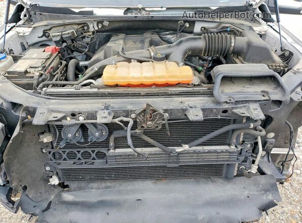 1FTEW1EP7HFA79417 2017 FORD F150 Белый Вид задней части салона
