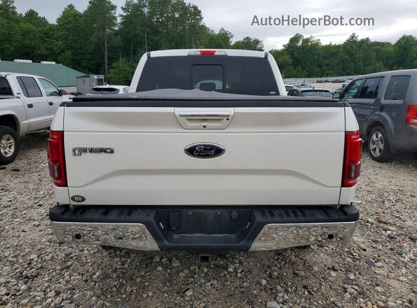 1FTEW1EP7HFA79417 2017 FORD F150 Белый Вид сзади