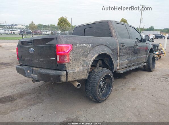 1FTEW1EP7KFA58476 2019 FORD F150 Purple Rear right