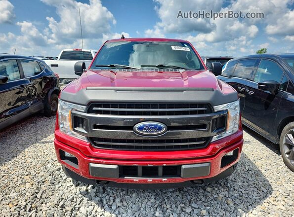 1FTEW1EP7KFA59837 2019 FORD F150 Burgundy Вид спереду