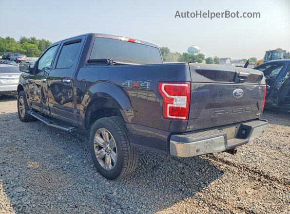 1FTEW1EP7KFD24546 2019 FORD F150 Purple Հետևի ձախ