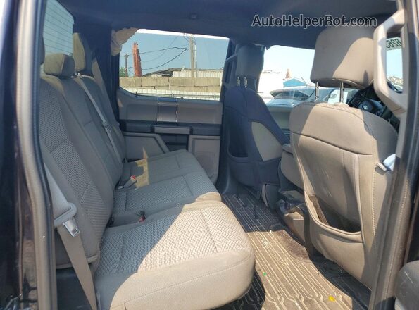 1FTEW1EP7KFD24546 2019 FORD F150 Purple Հետևի նստատեղերի տեսք