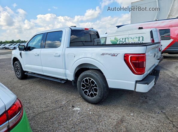 1FTEW1EP7PFB08185 2023 FORD F150 White Tył lewy