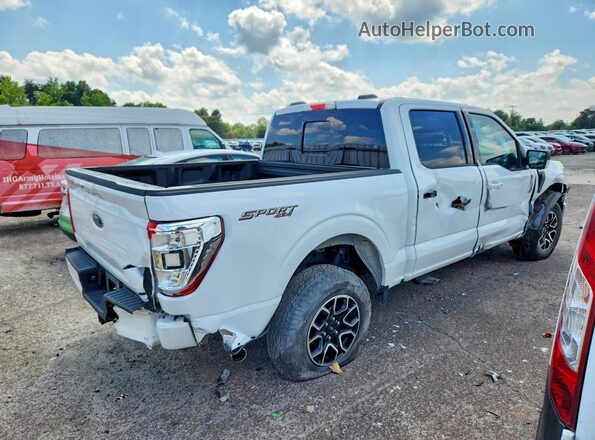 1FTEW1EP7PFB08185 2023 FORD F150 White Tył prawy
