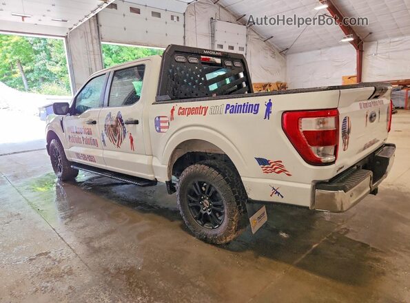 1FTEW1EP7PKD48554 2023 FORD F150 Белый Задняя левая четверть