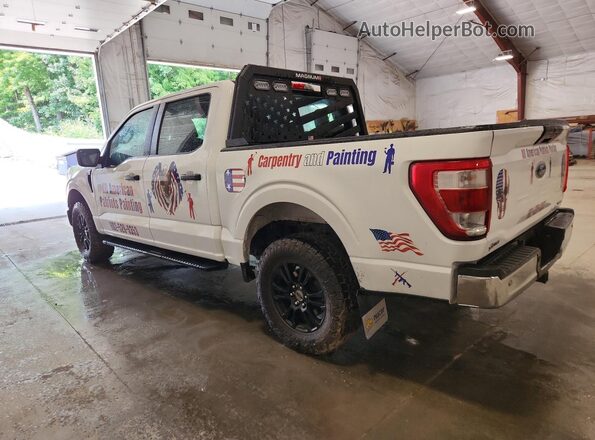 1FTEW1EP7PKD48554 2023 FORD F150 Белый 