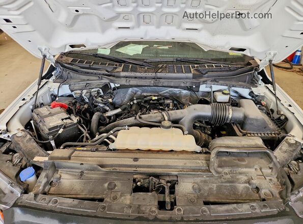1FTEW1EP7PKD48554 2023 FORD F150 Белый Вид задней части салона