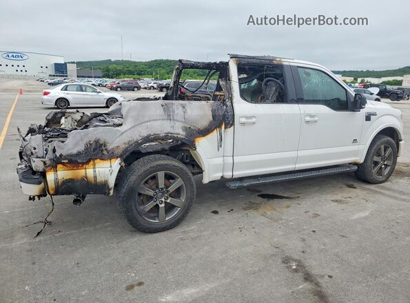 1FTEW1EP8GFC06786 2016 FORD F150 White Tył prawy