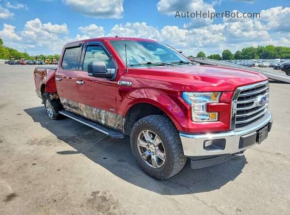 1FTEW1EP8HFA68698 2017 FORD F150 Red Առջևի աջ