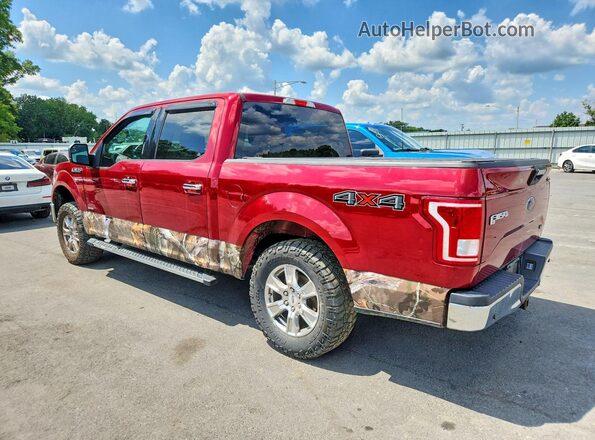 1FTEW1EP8HFA68698 2017 FORD F150 Red Հետևի ձախ