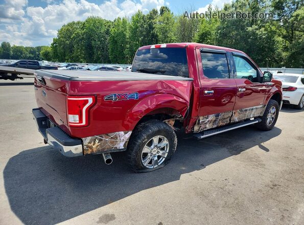 1FTEW1EP8HFA68698 2017 FORD F150 Red Հետևի աջ