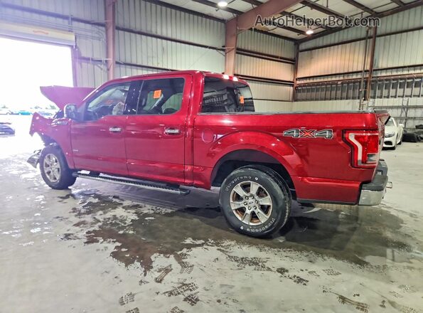 1FTEW1EP8HFA71679 2017 FORD F150 Red Հետևի ձախ