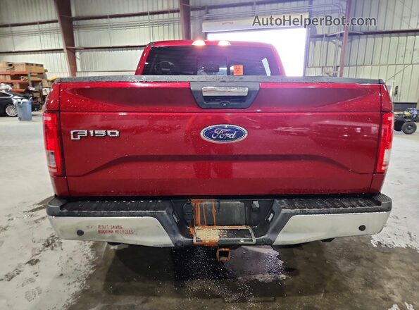 1FTEW1EP8HFA71679 2017 FORD F150 Red Հետևի տեսք