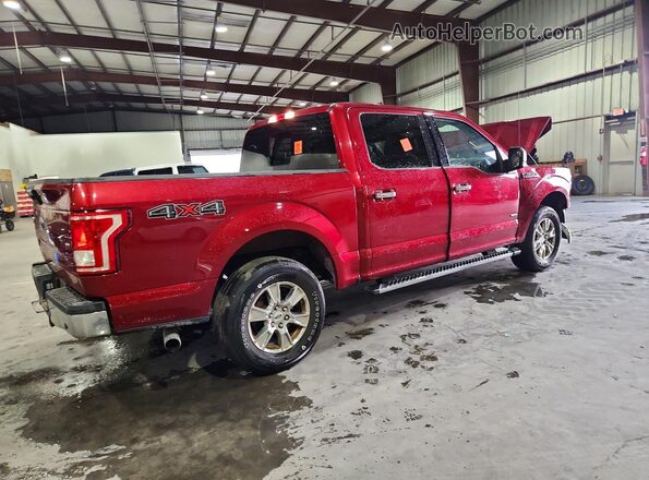 1FTEW1EP8HFA71679 2017 FORD F150 Red Հետևի աջ