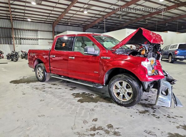 1FTEW1EP8HFA71679 2017 FORD F150 Red Առջևի աջ