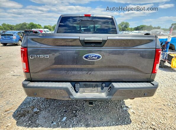 1FTEW1EP8HFA85565 2017 FORD F150 Gray Widok z tyłu